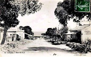 TIPAZA - RUE DU PORT - 1913